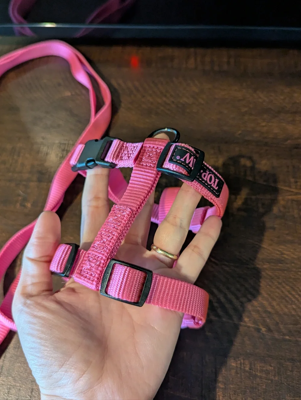 Top Paw nylon breed